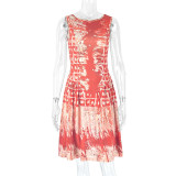 Printed Round Neck Sleeveless Pleated A-Line Mini Dress