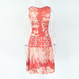 Printed Round Neck Sleeveless Pleated A-Line Mini Dress
