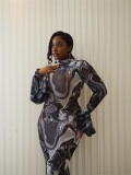 Print Mesh Bell Sleeve See-Through Dress