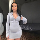 Long Sleeve Slim Fit Bodycon Dress