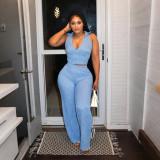 Sexy V-Neck Sleeveless Top Wide-Leg Pants Summer Two Piece Set