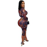 Women Elegant Printed Mesh Pleated Dress