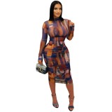 Women Elegant Printed Mesh Pleated Dress