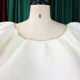 Fashionable Chic and Elegant Ruffled A-line Formal Party & Evening Dress