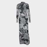 Women's Autumn Fashion Mesh Print See-Through High Neck Slim Fit Dress