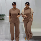 Women Casual Elegant Career Short Sleeve Top and Wide Leg Pants Two Piece Set