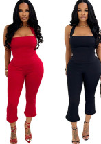 Women Summer Strapless Halter Neck Top and Solid Pants Two Piece Set Women Summer Strapless Halter Neck Top and Solid Pants Two Piece Set