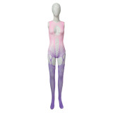 Women's Sexy Open Crotch Hollow Lingerie Temptation Net Clothes One piece Bodystockings