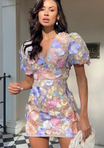 Women's  Luxury Embroidery Mesh Puff Sleeve Slim Waist Short Chic Dress