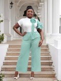 Plus Size Women Round Neck Short Sleeve Striped Top and Contrast Wide Leg Pants Two Piece Set
