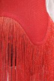 Spring Summer Style Tassel Trimmed Sexy Slimming Zipper Strapless Dress