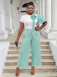 Plus Size Women Round Neck Short Sleeve Striped Top and Contrast Wide Leg Pants Two Piece Set
