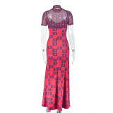 Slim Waist Women's See-Through Mesh Patchwork Pleated Printed High Neck Long Dress