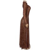 Women Sexy Leopard Print Long Sleeve Slit Dress