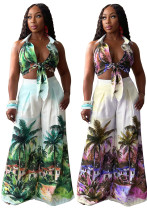 Women Printed Sleeveless Shirt and Wide Leg Pants Two Piece Set