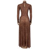 Women Sexy Leopard Print Long Sleeve Slit Dress
