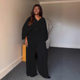 Women Pleated V-Neck Bat Sleeves Shirt and Pants Two Piece Set