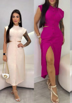 Spring women's clothing polyester Stand Collar skirt dress Spring women's clothing polyester Stand Collar skirt dress