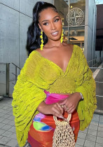 Women Pleated Bubble Long Sleeve V-Neck Crop Top