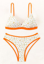 Floral Lace-up Beach Tight-Fitting Sexy Two-Piece Swimsuit