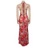 Women Sexy V Neck Halter Neck Printed Dress