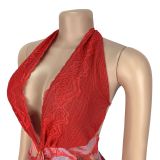 Women Sexy V Neck Halter Neck Printed Dress
