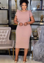 Elegant Career elastic pleated lace slim back slit Bodycon dress Elegant Career elastic pleated lace slim back slit Bodycon dress