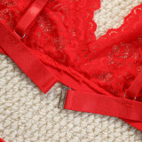 sexy lace bra panties set women comfortable triangle cup underwear