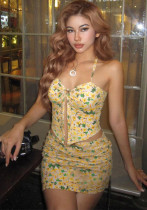 Spring Summer Women's Sexy Crop Halter Neck Top & Slim Mini Skirt Set
