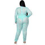 Plus Size Women's Sexy Nightclub Transparent Lace Bodysuit Pants Two-piece Set
