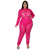 Plus Size Women's Sexy Nightclub Transparent Lace Bodysuit Pants Two-piece Set