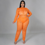 Plus Size Women's Sexy Nightclub Transparent Lace Bodysuit Pants Two-piece Set