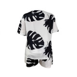 Plus Size Summer V-Neck Short Sleeve Casual Two Piece Shorts Set