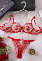 Women embroidered gathered mesh Sexy Lingerie Set