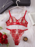 Women embroidered gathered mesh Sexy Lingerie Set