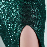 Sequin Plus Size Beauty Formal Party Evening Dress