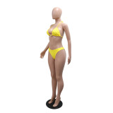 Women's Beach Holidays bikini skirt three-piece bikini swimsuit