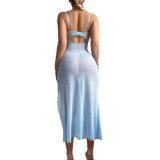 sexy see-through mesh temptation lace Low Back high slit Strap Dress