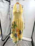 Women's Summer Deep V Halter Neck Low Back Printed A-line Dress
