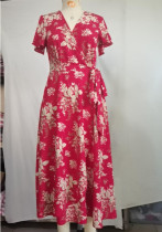 Women Spring and Summer Casual V-neck Printed Holidays Dress