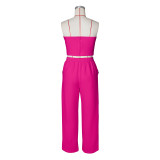 Sexy Color Blocked Decorative Button Straight High Waist Wide Leg Women's Pants Set