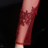 Autumn Occasional Formal Lace Upper V-Neck Mermaid Evening Dress