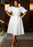 Flower Jacquard Round Neck Career A-line Dress
