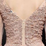 Autumn Occasional Formal Lace Upper V-Neck Mermaid Evening Dress