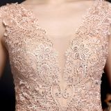 Summer Lace Upper Sleeveless V-Neck Mermaid Evening Dress