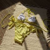 Embroidered Flower Sexy Bikini Two Pieces Swimsuit