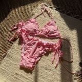 Embroidered Flower Sexy Bikini Two Pieces Swimsuit