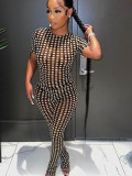 Women Multi-Color Polka Dot Mesh Printed Short Sleeve Top and Pants Two-Piece Set