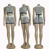 Women Fashion Casual Stripes Halter Neck Knitting Tank Shorts Set
