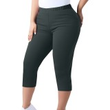 Women's Trousers Capri Pants Plus Size Elastic Waist Tight Pants
